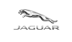 Jaguar 拷贝